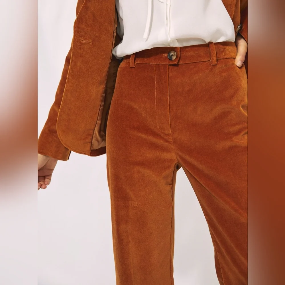 ARITZIA Wilfred Francesca Velvet Pants Fit Flare Hemmed/Altered Sz 2 Inseam 27.5 - Picture 2 of 10